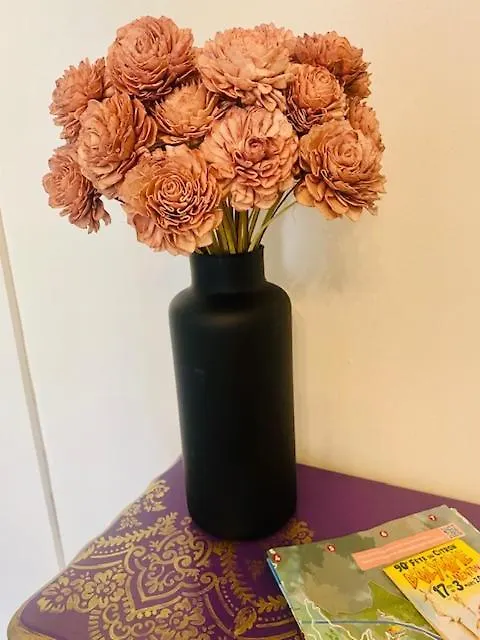 Appartement Les Fleurs Astoria à Menton